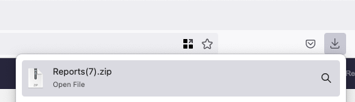 The zip file of the downloaded report appears in the Downloads section of the browser.