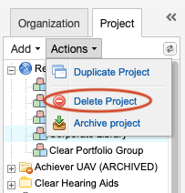 The Actions drop-down list under the Project tab displays three options, with Delete Project highlighted.