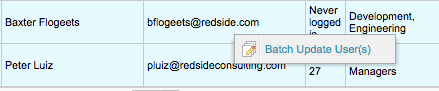 An example list of users selected for batch updating.
