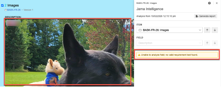 An image is highlighted and the Jama Connect Advisor report displays an empty Description field and an error message that are highlighted.